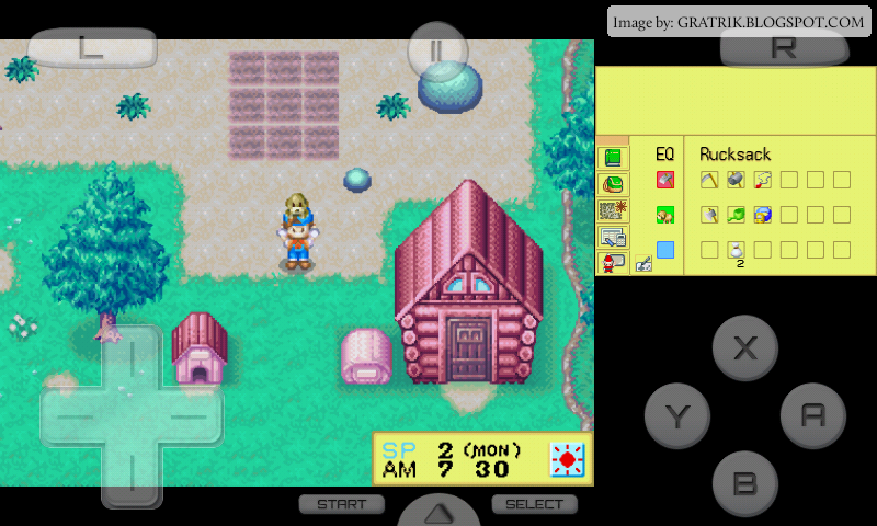 harvest moon ds roms for android